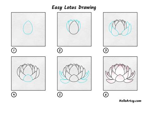 Lotus Flower Drawing Easy Step By | Best Flower Site