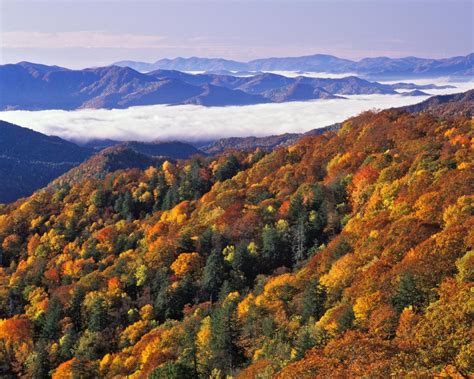 🔥 Free Download Smoky Mountains National Park North Carolina In ...