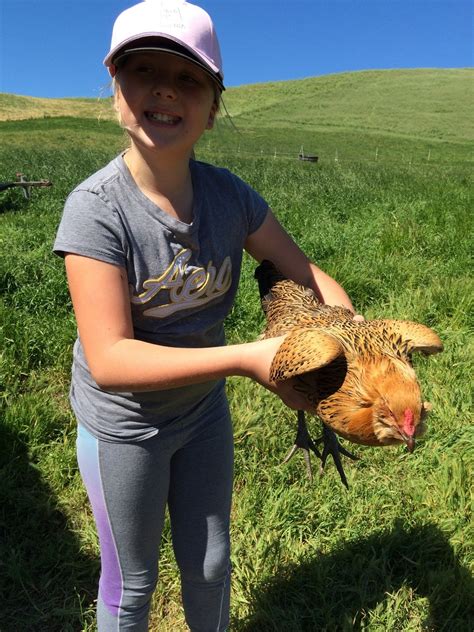 Tara Firma Farms in Petaluma, California - Kid-friendly Attractions | Trekaroo