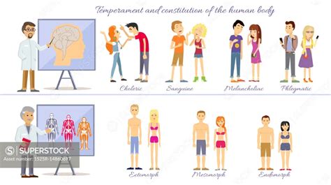 Set temperament of people and constitution of body. Sanguine and ...