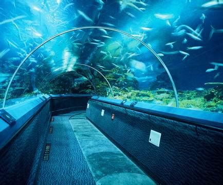 China Aquarium Tunnel Photos & Pictures - Made-in-china.com