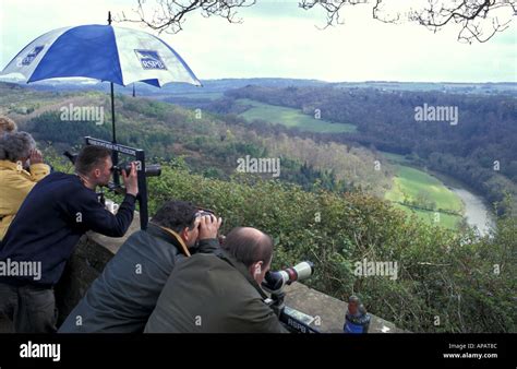 People watching Peregrine Falcons nest at Symonds Yat observation point ...