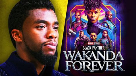 Unhappy Marvel Fans Reject Black Panther 2 Plot, Make 'Recast T'Challa ...