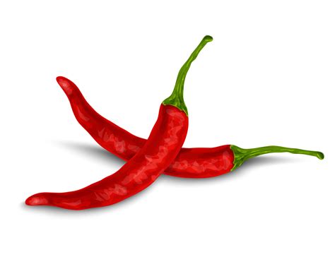 Chili pepper isolated on white 435502 Vector Art at Vecteezy