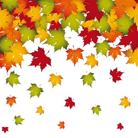 Autumn leaf color Clip art - Transparent Fall Leaves Decoration PNG Image png download - 2500* ...