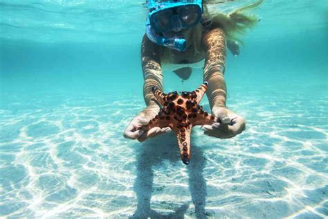 Escape to These Beautiful Aruba Beaches for Snorkeling