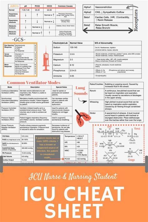 ICU Cheat Sheet | Icu nursing, Nursing school survival, Nurse