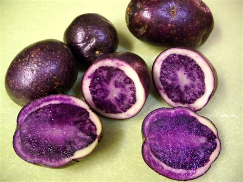 Down the Aisles 3: Ink stamper or potato? | Flavor Boulevard