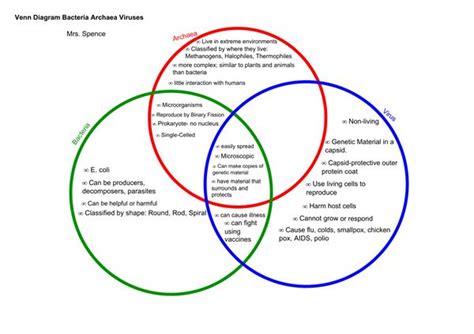 Plants Vs Fungi Vs Animals Venn Diagram