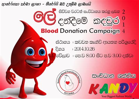 Blood Donation Sample Poster - 2014 | Blood donation, Donate, Poster