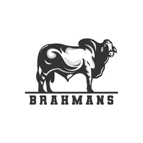 Brahman Bull Svg File Ffa Svg File H Cattle Livestock Svg Commercial ...