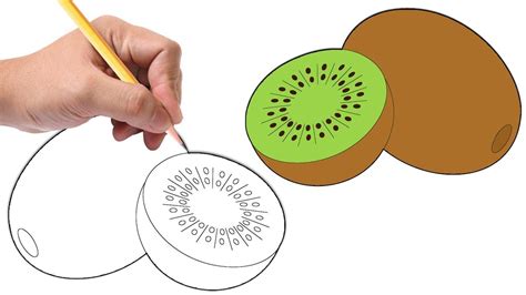 How To Draw A Kiwi For Kids Draw this cute kiwi by following this drawing lesson