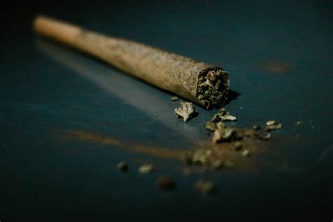 Difference between Spliff, Joint and Blunt – Zetla