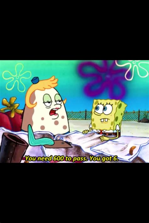 Now that finals are over ;) | Funny spongebob memes, Spongebob memes, Funny