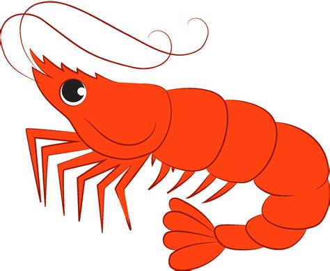 Shrimp Clipart The Cliparts Shrimp Clip Art Free Transparent Png | My XXX Hot Girl