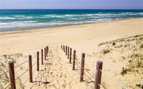 La Jenny Beach / Aquitaine / France // World Beach Guide