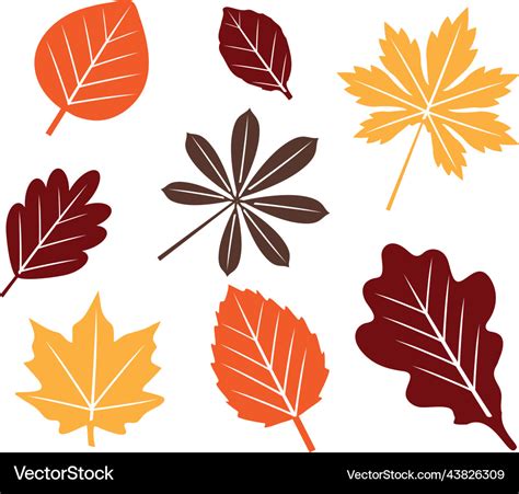 Fall leaves Royalty Free Vector Image - VectorStock