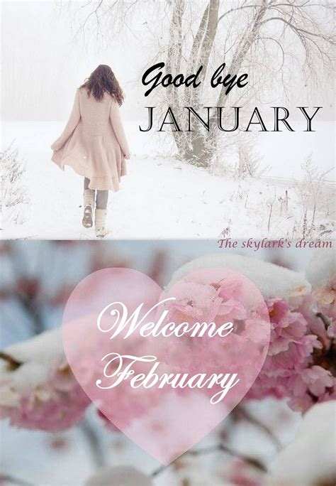 Welcome February Quotes - ShortQuotes.cc