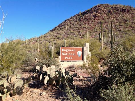 Hike the World: Saguaro National Park: West: Hugh Norris Trail