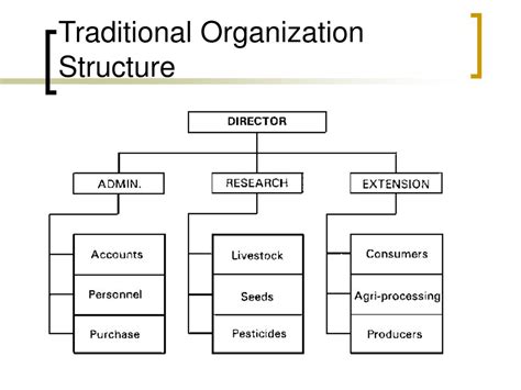 PPT - Organizational Structure and Design PowerPoint Presentation, free download - ID:3881653