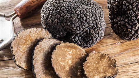 Health benefits of truffle mushrooms... 14 differet language Truffle mushrooms benefits... - YouTube