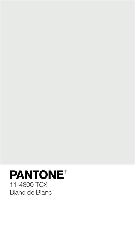 Pantone 11-4800 TCX Blanc de Blanc | Color palette, Pantone palette ...