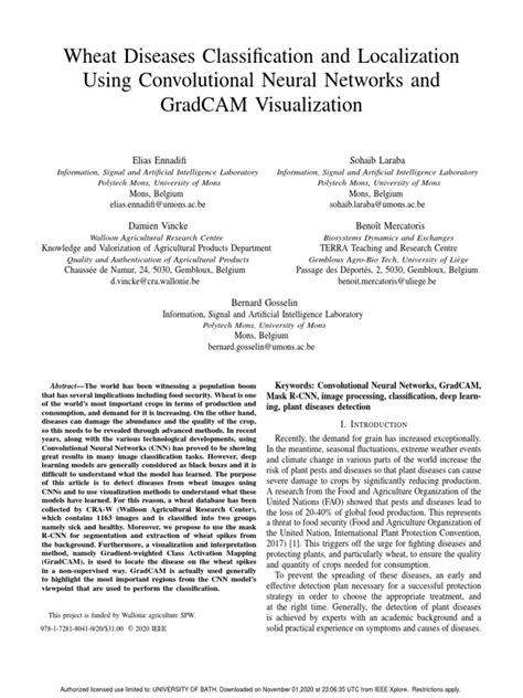 Wheat Diseases Classification and Localization Using Convolutional ...