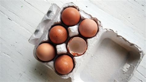 Free Images : food, ingredient, produce, baking, dessert, shell, egg, bake, protein, chocolate ...