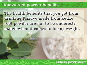 Kudzu Root Powder Health Benefits and How to Make Kuzuyu | Slism