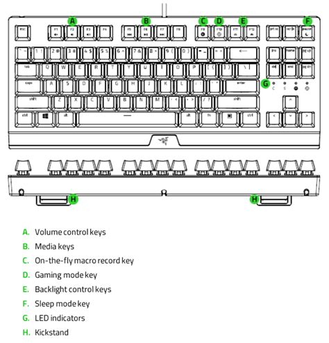 Razer BlackWidow V3 Tenkeyless Manual and FAQ