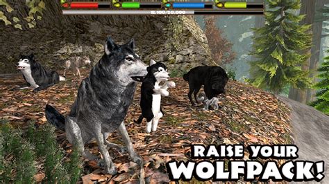Ultimate Wolf Simulator - Raise a Family - Android/iOS - Gameplay - YouTube