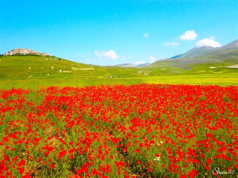 Castelluccio di Norcia landscape #Italy #landscape #flowers | Italy ...