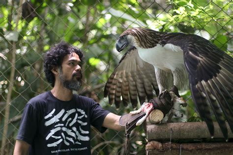 Philippine Eagle Hunting Monkey