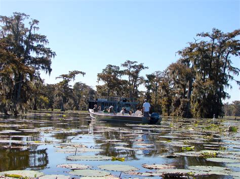 RVing and Travels...Adventures with Suzanne and Brad: Cajun Swamp Tour ...