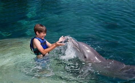 Swim with Dolphins at Cancun Interactive Aquarium