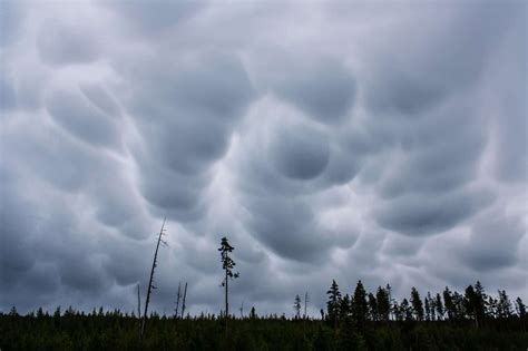 6 Natural Phenomena You Probably Haven’t Heard Of - EcoWatch