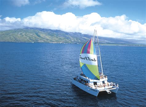 Four Winds II Molokini Snorkel Tour - Maui Sights and Treasures