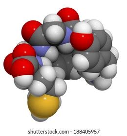 12 Encephalin Images, Stock Photos & Vectors | Shutterstock