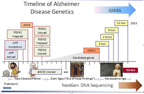 Background and Summary of AD Research | Biomedical Genetics