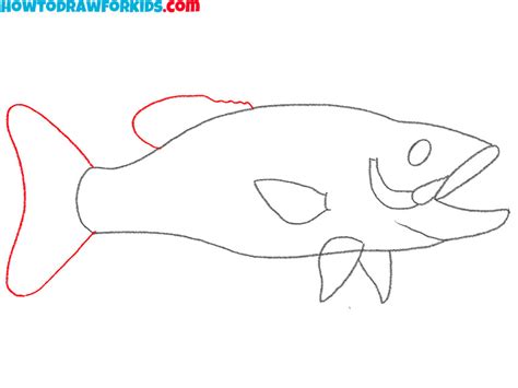 How to Draw a Bass Fish - Easy Drawing Tutorial For Kids