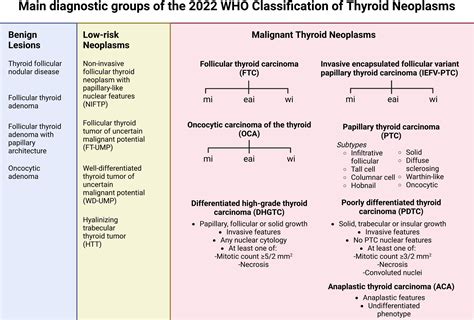 The 2022 WHO classification of thyroid tumors: novel concepts in ...