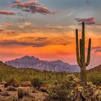 What are the best hiking trails in Arizona? | Liv Ahwatukee Apartments