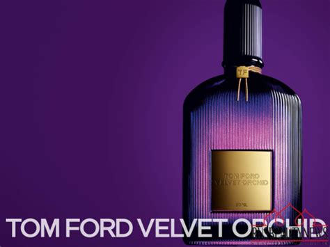 Tom Ford Velvet Orchid | rusbeautynews.ru