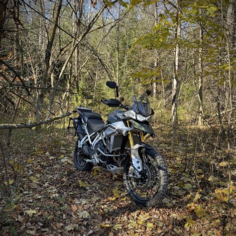 Triumph Tiger 900 Rally Pro - Out exploring some singletrack : r/Triumph