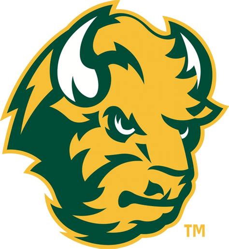 the green and yellow team logo is shown on this uniform, which features an angry bull's head