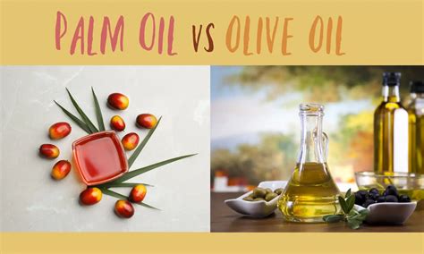 Palm Oil vs Olive Oil: The Ultimate Verdict - The Coconut Mama