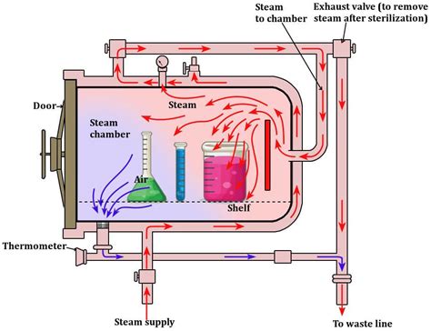 Advantages of Autoclaves - Biology Ease