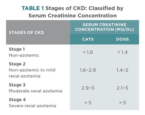 Treatment Guidelines for Chronic Kidney Disease in Dogs & Cats