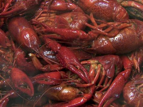 Boiled Crawfish : Recipes : Cooking Channel Recipe | Cooking Channel