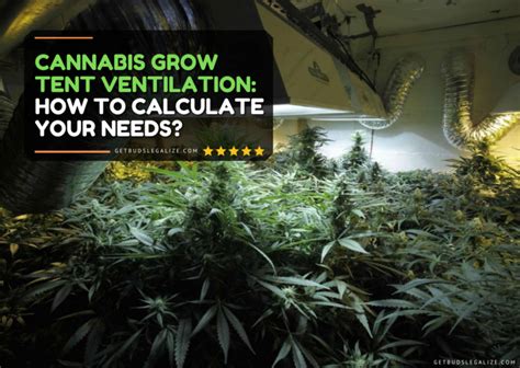 Cannabis Grow Tent Ventilation Guide: How to Calculate Your Needs? - GetBudsLegalize.com